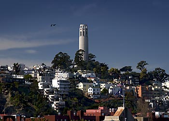 sf_2344