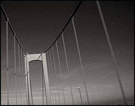 008-delmem_5534