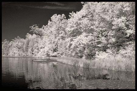 020-101008_8317-batsto-ir