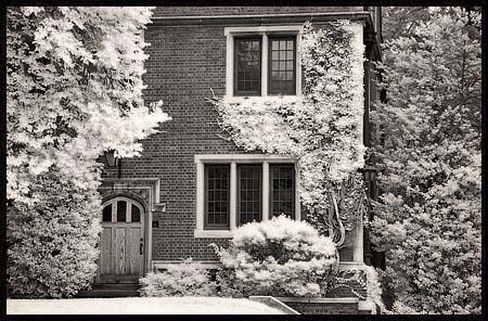 037-091308_8232-princeton