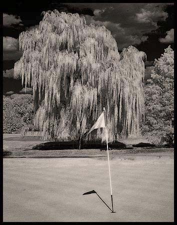 042-080911_8162-golf#70042