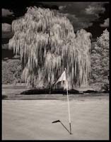 042-080911_8162-golf#70042