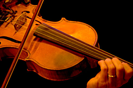 pff06-0782-horseflies