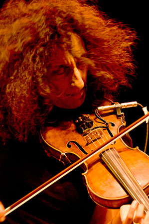 pff06-0787-horseflies