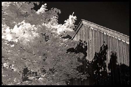 082-101008_8310-batsto-ir