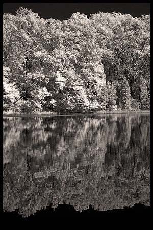 086-101008_8323-batsto