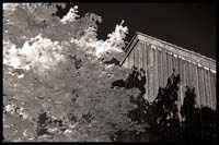 082-101008_8310-batsto-ir