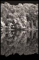 086-101008_8323-batsto